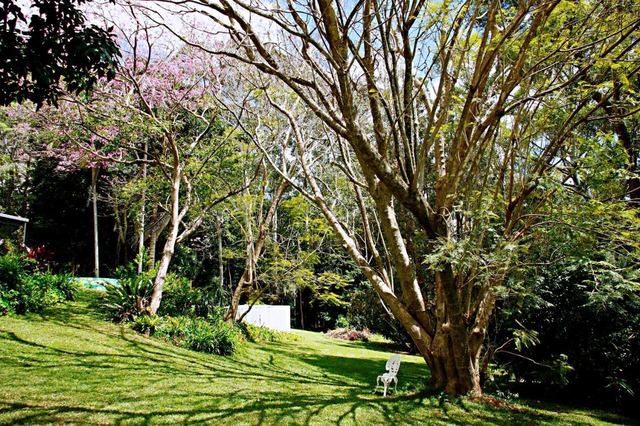 Maleny Monet Studio Exterior foto